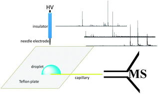 Graphical abstract: A simplified electrospray ionization source based on electrostatic field induction for mass spectrometric analysis of droplet samples