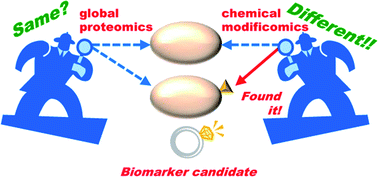 Graphical abstract: Chemical modificomics: a novel strategy for efficient biomarker discovery through chemical modifications on a target peptide