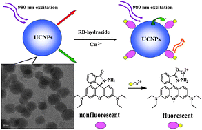 Graphical abstract: An optical sensor for Cu(ii) detection with upconverting luminescent nanoparticles as an excitation source