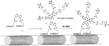 Graphical abstract: In situ synthesis of stable mixed ligand Fe2+ complexes on bipyridinyl functionalized electrodes and nanotube supports