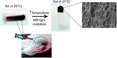 Graphical abstract: A stimuli-sensitive injectable graphene oxide composite hydrogel