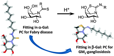 Graphical abstract: Tuning glycosidase inhibition through aglycone interactions: pharmacological chaperones for Fabry disease and GM1 gangliosidosis