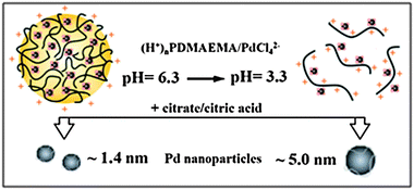 Graphical abstract: Palladium metal nanoparticle size control through ion paired structures of [PdCl4]2− with protonated PDMAEMA