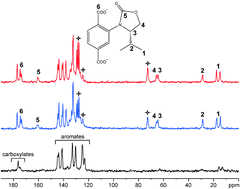 Graphical abstract: Chiral recognition in metal–organic frameworks studied by solid-state NMR spectroscopy using chiral solvating agents