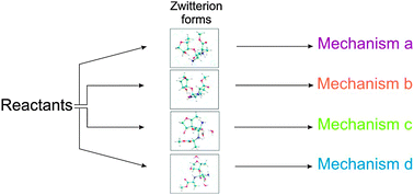 Graphical abstract: Do zwitterionic species exist in the non-enzymatic peptide bond formation?