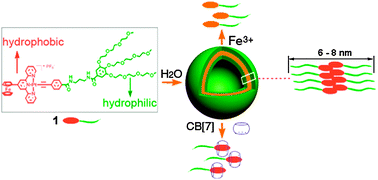 Graphical abstract: Reversible multistimuli-responsive vesicles formed by an amphiphilic cationic platinum(ii) terpyridyl complex with a ferrocene unit in water