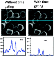Graphical abstract: Cadmium-free quantum dots as time-gated bioimaging probes in highly-autofluorescent human breast cancer cells