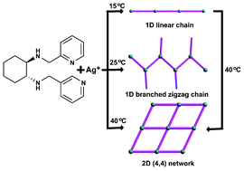 Graphical abstract: Temperature-induced chiral Ag(i) coordination polymers with structural variation from 1D to 2D: synthesis, luminescence and SHG response