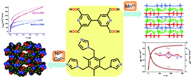 Graphical abstract: Coordination polymers with mixed 4,4′-bipyridine-2,2′,6, 6′-tetracarboxylate and imidazole-containing ligands: synthesis, structure and properties