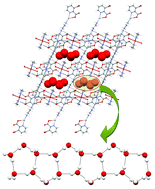Graphical abstract: Construction of homo- and heterometallic-pyridine-2,3-dicarboxylate metallosupramolecular networks with structural diversity: 1D T5(2) water tape and unexpected coordination mode of pyridine-2,3-dicarboxylate