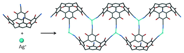 Graphical abstract: Conservation of a unique noncovalent motif in a tetracyanoresorcin[4]arene silver complex