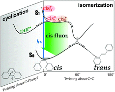 Graphical abstract: Femtosecond fluorescence study of the reaction pathways and nature of the reactive S1 state of cis-stilbene