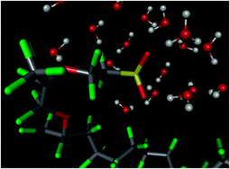 polymer membranes molecular modelling pubs