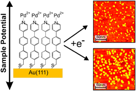 Graphical abstract: On the complexation kinetics for metallization of organic layers: palladium onto a pyridine-terminated araliphatic thiol film