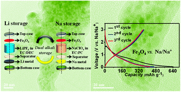 Graphical abstract: A rationally designed dual role anode material for lithium-ion and sodium-ion batteries: case study of eco-friendly Fe3O4