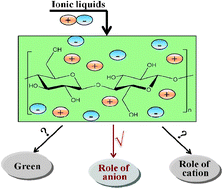Graphical abstract: Ionic liquid processing of cellulose