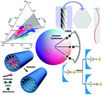 Graphical abstract: Anionic surfactant templated mesoporous silicas (AMSs)