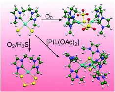Graphical abstract: Sulfur containing platinum(ii) complexes with N-heterocyclic carbene ligands obtained by reactions of a hydrosulfido complex