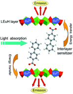 Graphical abstract: Intercalation of organic sensitisers into layered europium hydroxide and enhanced luminescence property