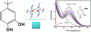 Graphical abstract: Air oxygenation chemistry of 4-TBC catalyzed by chloro bridged dinuclear copper(ii) complexes of pyrazole based tridentate ligands: synthesis, structure, magnetic and computational studies