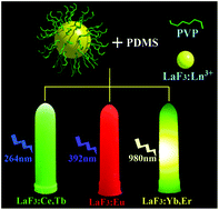 Graphical abstract: Microwave-assisted synthesis and up–down conversion luminescent properties of multicolor hydrophilic LaF3:Ln3+ nanocrystals