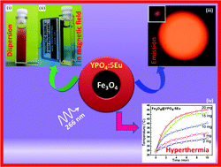 Graphical abstract: Bi-functional properties of Fe3O4@YPO4:Eu hybrid nanoparticles: hyperthermia application