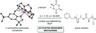 Graphical abstract: Alkali aminoether-phenolate complexes: synthesis, structural characterization and evidence for an activated monomer ROP mechanism