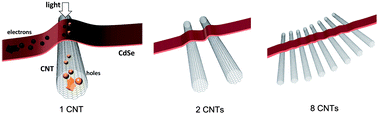 Graphical abstract: Nanobelt–carbon nanotube cross-junction solar cells