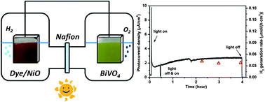 Graphical abstract: Sustained solar hydrogen generation using a dye-sensitised NiO photocathode/BiVO4 tandem photo-electrochemical device