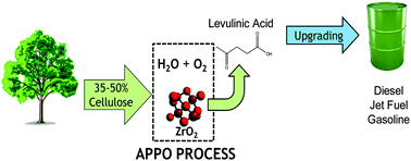 Graphical abstract: High yield production of levulinic acid by catalytic partial oxidation of cellulose in aqueous media