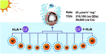 Graphical abstract: A robust “artificial catalyst” in situ formed from CdTe QDs and inorganic cobalt salts for photocatalytic hydrogen evolution