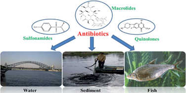 Graphical abstract: Occurrence, distribution and bioaccumulation of antibiotics in the Haihe River in China