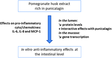 Graphical abstract: Anti-inflammatory effects of pomegranate (Punica granatum L.) husk ellagitannins in Caco-2 cells, an in vitro model of human intestine