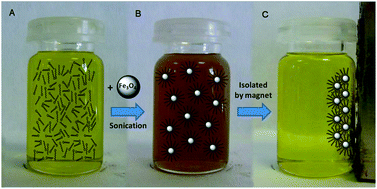 Graphical abstract: Magnetic separation of fatty acids with iron oxide nanoparticles and application to extractive deacidification of vegetable oils