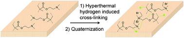Graphical abstract: Preparation of antibacterial surfaces by hyperthermal hydrogen induced cross-linking of polymer thin films