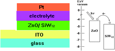 Graphical abstract: Enhanced photovoltaic response of the first polyoxometalate-modified zinc oxide photoanode for solar cell application