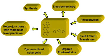 Graphical abstract: Oligothiophene-functionalized naphthalimides and perylene imides: design, synthesis and applications