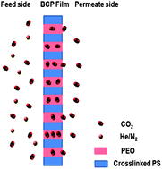 Graphical abstract: CO2-selective free-standing membrane by self-assembly of a UV-crosslinkable diblock copolymer