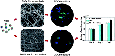 Graphical abstract: Fabrication and characterization of a novel fluffy polypyrrole fibrous scaffold designed for 3D cell culture