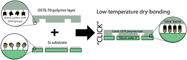 Graphical abstract: Biocompatible “click” wafer bonding for microfluidic devices