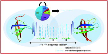 Graphical abstract: Cascaded walks in protein sequence space: use of artificial sequences in remote homology detection between natural proteins