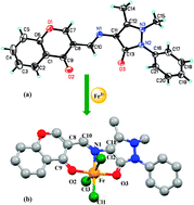 Graphical abstract: A novel “turn-on” fluorescent probe for Fe3+ in aqueous media based on C [[double bond, length as m-dash]] N isomerization