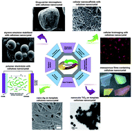 Graphical abstract: Preparation, properties and applications of polysaccharide nanocrystals in advanced functional nanomaterials: a review