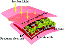Graphical abstract: Vertically building Zn2SnO4 nanowire arrays on stainless steel mesh toward fabrication of large-area, flexible dye-sensitized solar cells