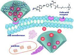 Graphical abstract: The intracellular controlled release from bioresponsive mesoporous silica with folate as both targeting and capping agent