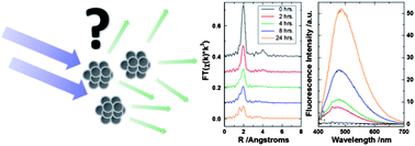 Graphical abstract: Local structure of fluorescent platinum nanoclusters