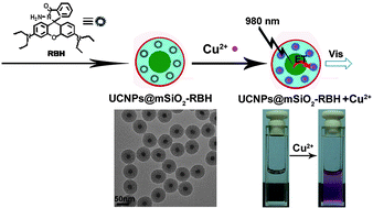 Graphical abstract: Upconversion nanoparticles for sensitive and in-depth detection of Cu2+ ions