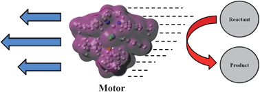 Graphical abstract: A catalytically driven organometallic molecular motor