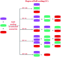 Graphical abstract: Degree of molecular self-sorting in multicomponent systems