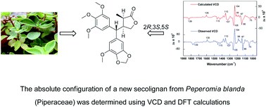 Graphical abstract: VCD to determine absolute configuration of natural product molecules: secolignans from Peperomia blanda